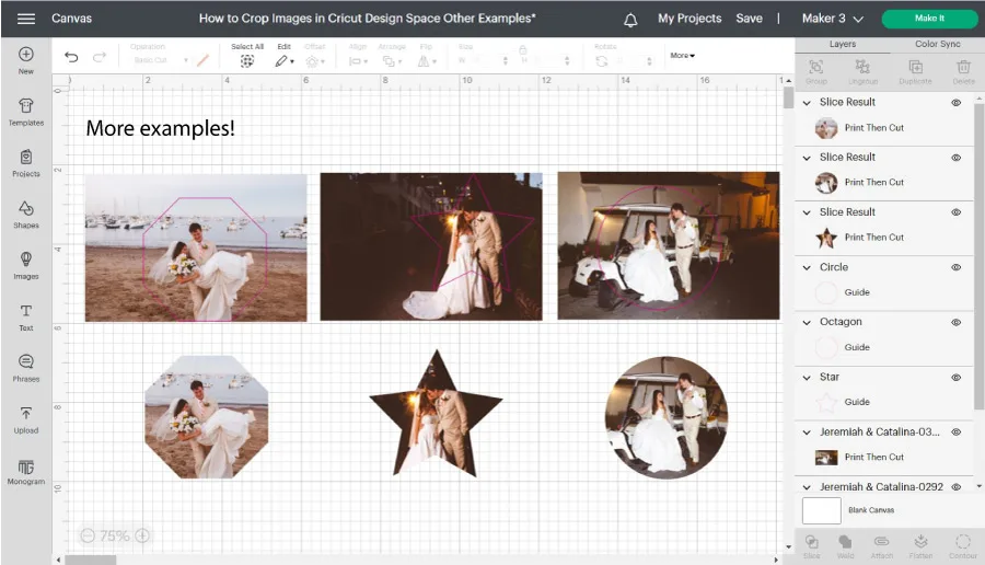 Screenshot of different ways and styles to Crop Images inside Cricut Design Space with the Slice tool.