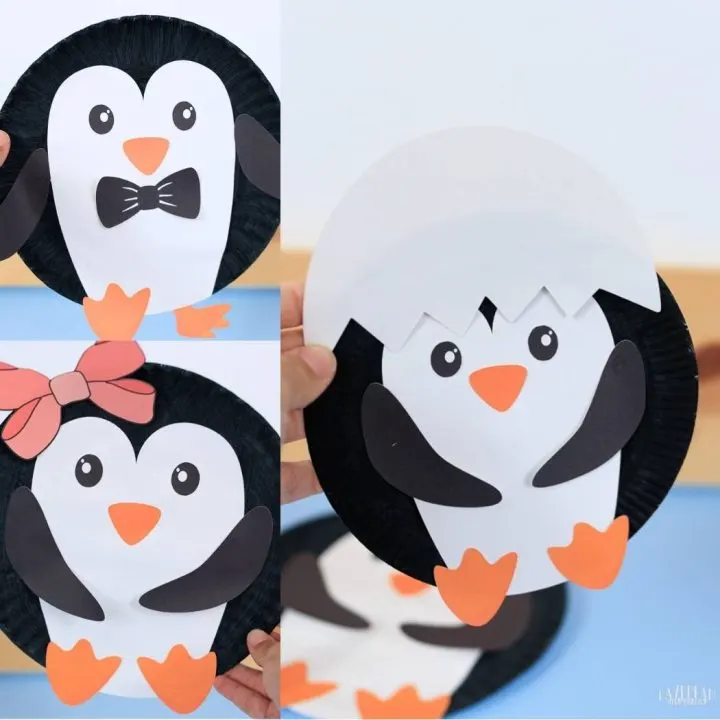 different types of penguins made with paper plate. Hatching, boy, girl