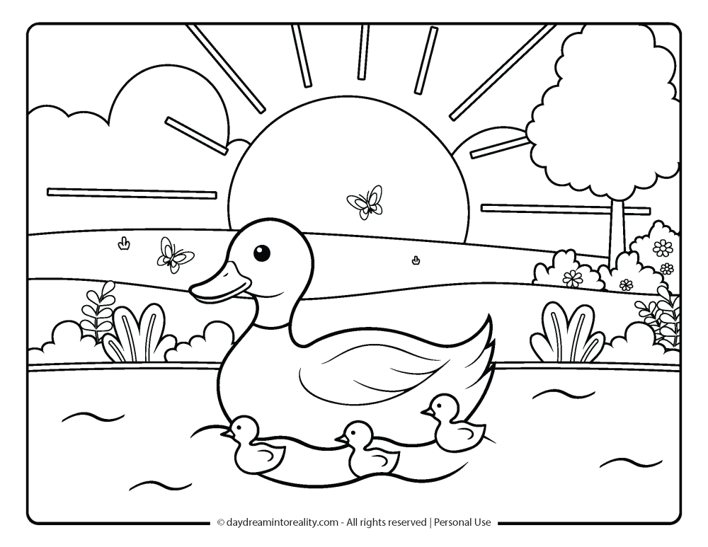 Spring Coloring Page - Duck and ducklings swimming in a lake on a beautiful sunrise.